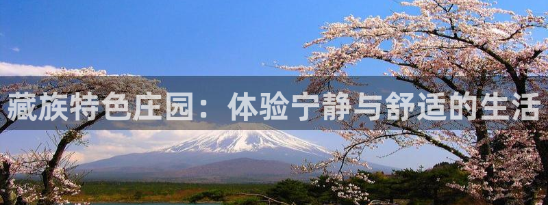 天辰娱乐APP下载