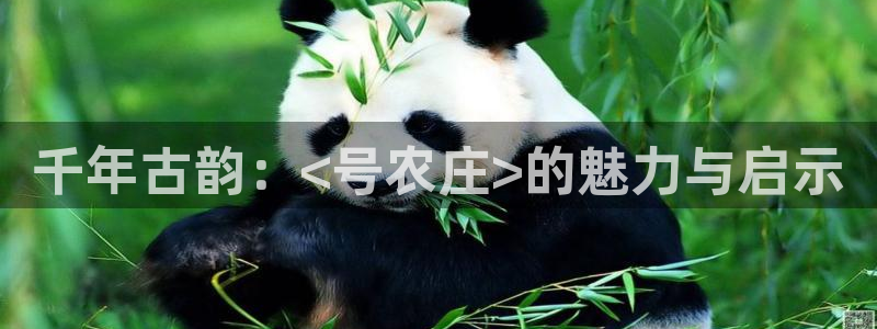 天辰娱乐官网平台下载