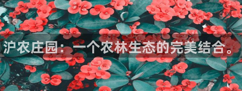 天辰娱乐怎么样