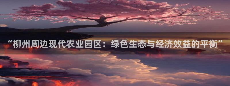 天辰娱乐分红