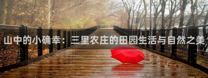 天辰娱乐天辰宝