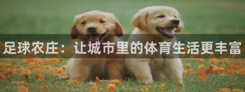 天辰娱乐电话