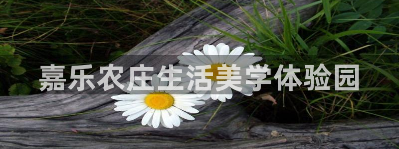 天辰娱乐首页