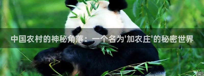 天辰娱乐视频