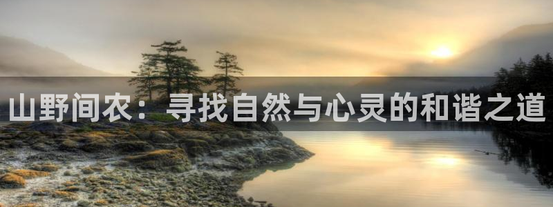 天辰娱乐上级