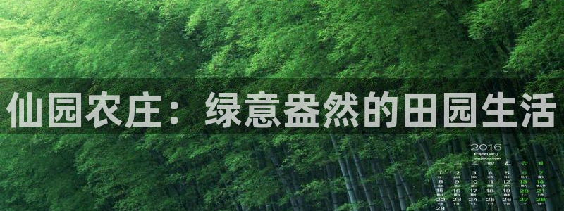 天辰娱乐新