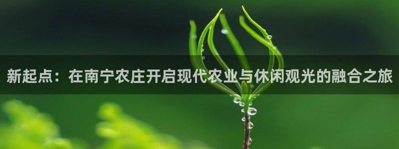天辰娱乐信誉