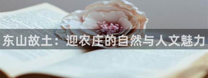 天辰娱乐 注册