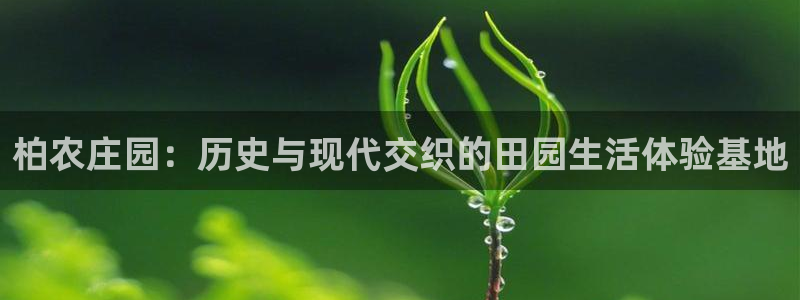 天辰娱乐官方
