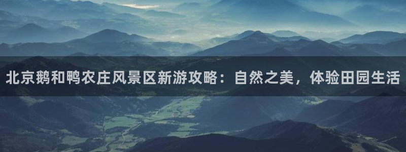 天辰娱乐_ 18113