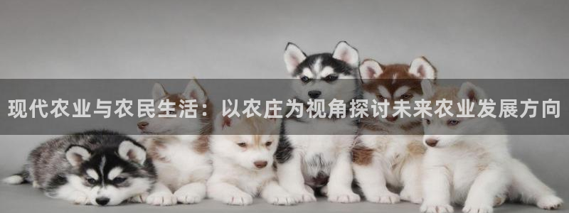 天辰娱乐十分彩